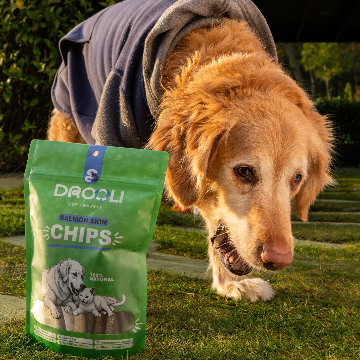 Drooli™ Salmon Skin Chips