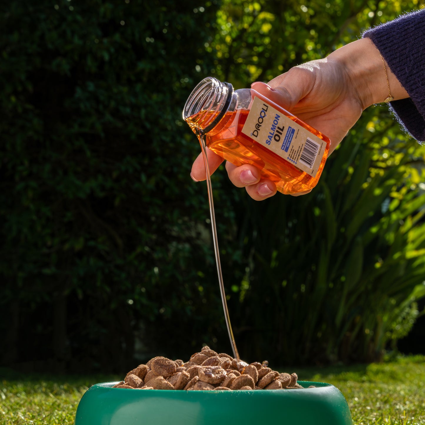 Drooli™ Salmon Oil