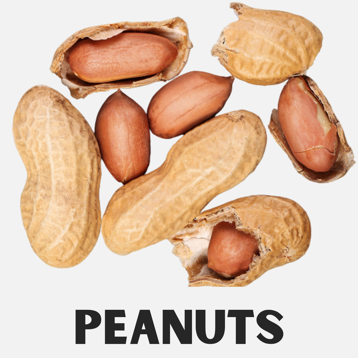 Drooli™ Beef Chips