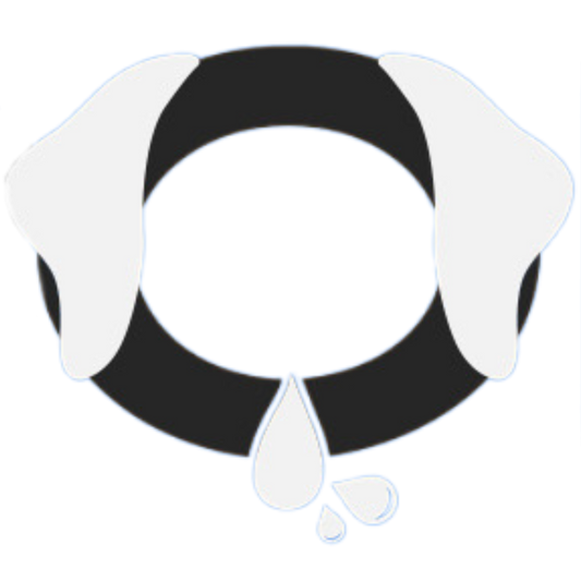 Drooli™ Beef Chips